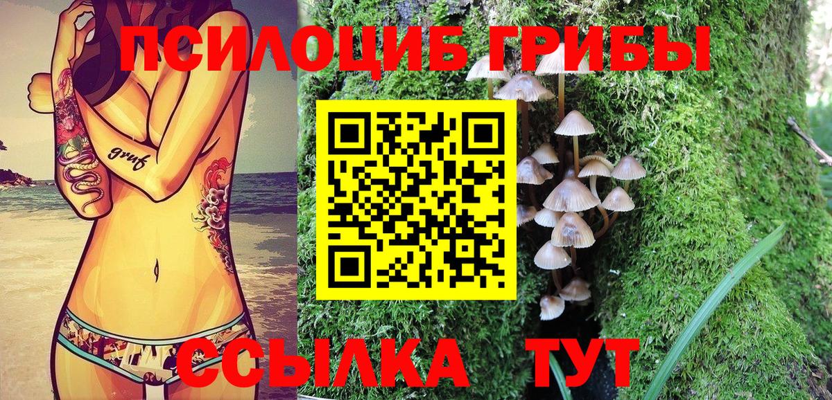 Подольск  Псилоцибиновые грибы прущие грибы  Вход с VPN 